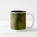 Search for front yard coffee mugs Vertical