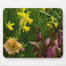 Search for rose colored electronics Nature