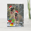 Search for mastiff christmas cards English