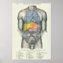 Search for relation posters Chart