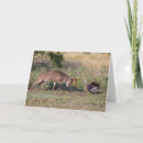 Search for grassland cards Superstock