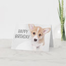 Search for corgi puppy birthday cards Queen's dog