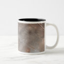 Search for deposition mugs Terrain