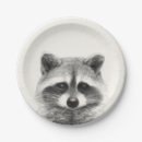 Search for raccoon plates Animal