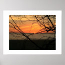 Search for beyond photography Ocean