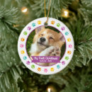 Search for paw with christmas tree decorations Pet