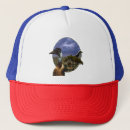 Search for landscapes hats Birds