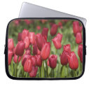 Search for attractive cases Red