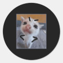Search for viral meme stickers Women