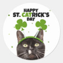 Search for st patricks day cat stickers Kitty