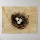 Search for vintage easter posters Eggs