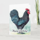 Search for rooster birthday cards Hen