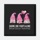 Search for gnomie magnets Warrior