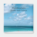 Search for turk magnets Providenciales