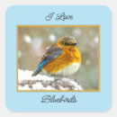 Search for bluebird stickers Snow