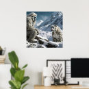 Search for snow leopard posters Nature
