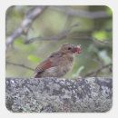 Search for beak square stickers Bird