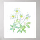 Search for niger posters Floral