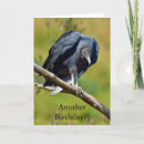Search for hawk birthday cards Animal