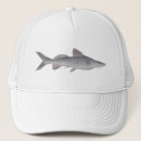 Search for whisker hats Fish