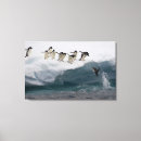 Search for penguin canvas prints Togetherness