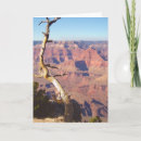 Search for rim cards National park