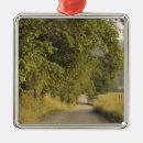 Search for smoky mountain christmas tree decorations Park