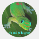 Search for blue lizard stickers Green