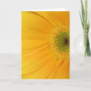 Search for life is beautiful cards Flowers