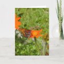 Search for divorce cards Grief