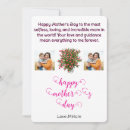 Search for rose bush cards Pink
