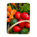 Search for tropical fruit magnets Food