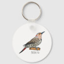 Search for common round key rings Bird