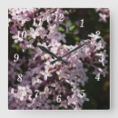 Search for fragrant Lilac