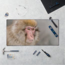 Search for grey fur mouse mats Brown
