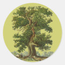 Search for tree planting stickers Plant a tree