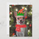Search for chihuahua christmas cards Funny