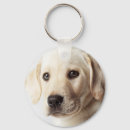 Search for golden labrador key rings Animal