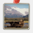 Search for alaska christmas tree decorations Peak