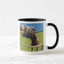 Search for fish head mugs Vertical