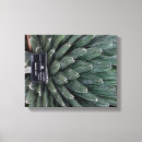 Search for agave art Plants