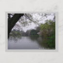 Search for spring photos postcards Nature