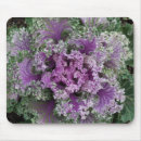 Search for curly mouse mats Nature