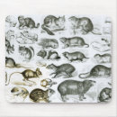 Search for rodent mouse mats Beaver