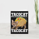 Search for cat meme cards Kitten