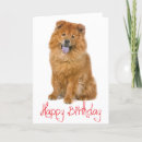Search for chow chow cards Puppies