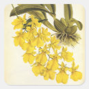 Search for yellow orchid stickers Botanical