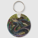 Search for study key rings Nature