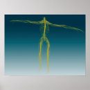 Search for nervous system posters Human body