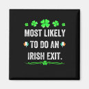 Search for exit magnets Leprechaun